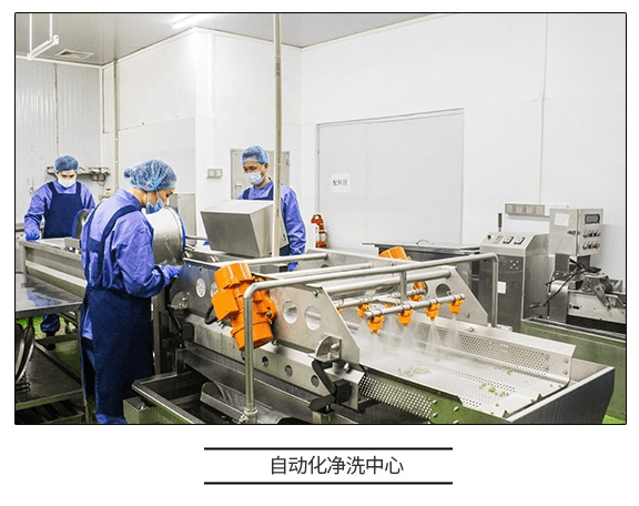 直擊工廠溯源 咚吃如何以科技賦能，保障食品安全新高度