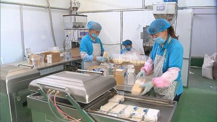 河北 提升產(chǎn)地初加工水平，助力農(nóng)產(chǎn)品提質(zhì)增效與優(yōu)價(jià)